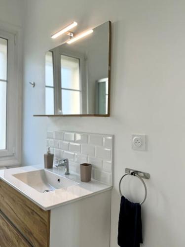 une salle de bain avec un lavabo et un miroir dans l'établissement Le Perchoir de la Gare - Blois, à Blois