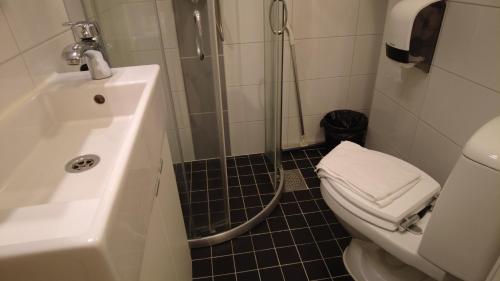 a bathroom with a shower and a toilet and a sink at Lapin Satu in Posio