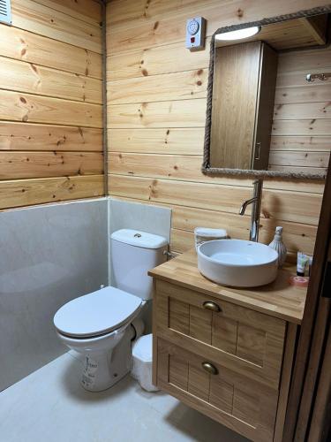 a bathroom with a toilet and a sink at Parthenon athena in Abū Sinān