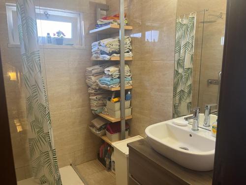 a bathroom with a sink and a shower at Relaxing Guesthouse - Sónias Houses in Lisbon