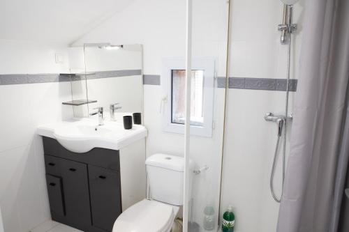 une salle de bain avec toilettes, lavabo et douche dans l'établissement Grand Duplex avec billard, à Villeneuve-Tolosane