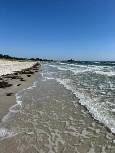 a beach with the ocean and the shoreline at Gästhus i Kämpinge nära stranden in Höllviken