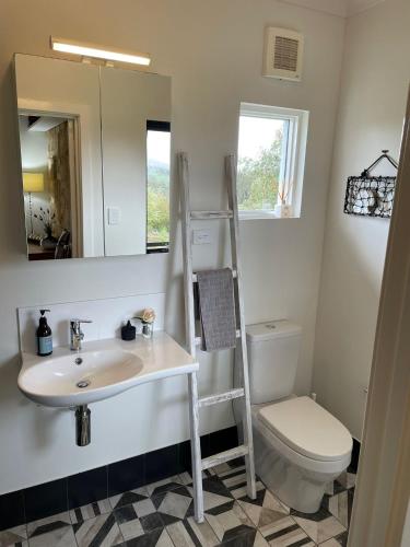 a bathroom with a sink and a toilet and a ladder at Rosie's Cottage Bindoon in Mooliabeenee