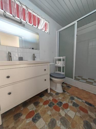 a bathroom with a toilet and a sink and a mirror at Pitate Surf House in Atimaono