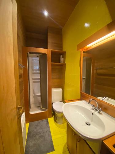 une petite salle de bain avec un lavabo et des toilettes dans l'établissement 10 Bel-Alp, à Chamonix-Mont-Blanc