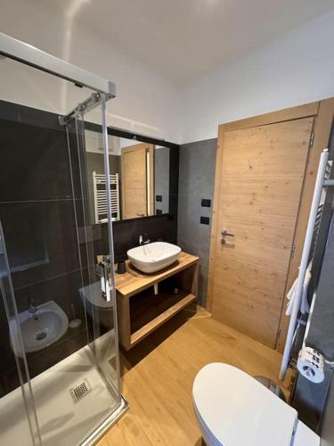 a bathroom with a sink and a toilet at Appartamento Continental - 8 posti letto in San Vito di Cadore