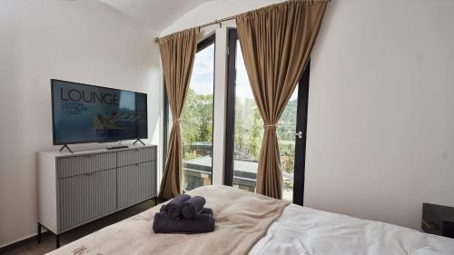 a bedroom with a bed and a tv and a window at Blissful Resort - Valea Doftanei in Teşila