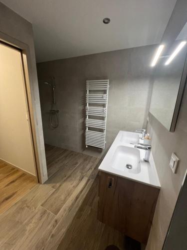une salle de bain avec un lavabo et une douche dans l'établissement Gîte du Manala, à Wihr-au-Val
