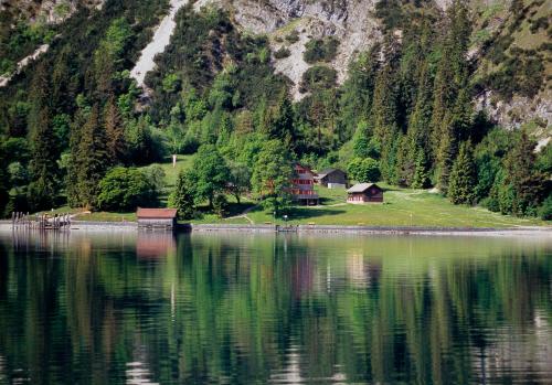 a house on the shore of a body of water at Appartementhaus Tristenau in Pertisau