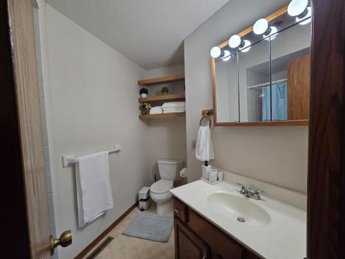 a bathroom with a sink and a toilet and a mirror at Tranquility Residence in Apple Valley