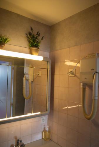 une salle de bain avec un lavabo et un miroir dans l'établissement Le relais du chapeau rouge, à Vibraye