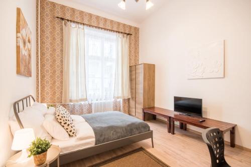 Central Comfy Large Apartment