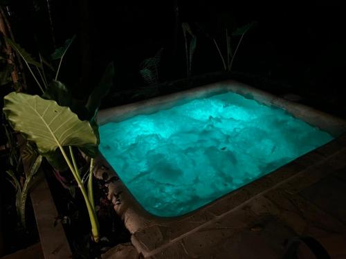 Bazén v ubytování Cabaña de piedra y bambú en la selva nebo v jeho okolí