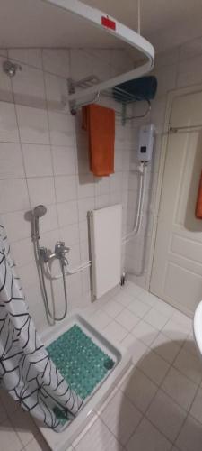 a bathroom with a shower with a green sink at Βίλα Στέλλα Ιωάννης in Agia Pelagia