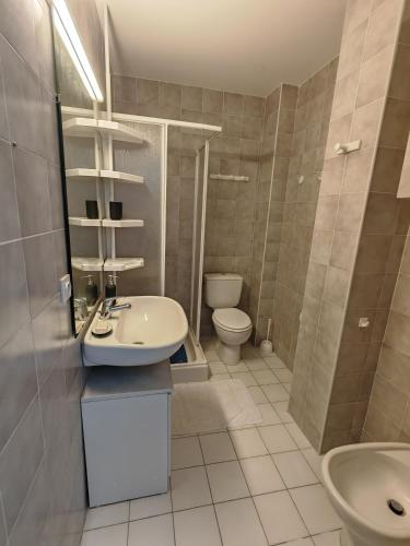 une salle de bain avec un lavabo et des toilettes dans l'établissement Cap Corse Santa Severa vue sur mer, à Santa-Severa