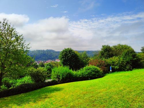 a green grassy hill with trees on the side of it at Apartment Waldkauz in Bad Lauterberg