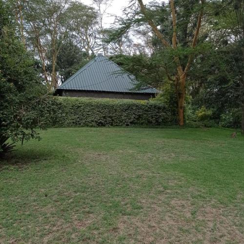 a house with a green roof in a yard at Cactus Eco Camp and Lodge in Elmenteita