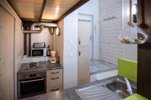 une petite cuisine avec un évier et un micro-ondes dans l'établissement La loge Theuriet - Bord de lac, à Annecy