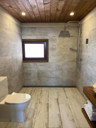 a bathroom with a toilet and a shower at Ca La Gràcia in Cabrianas