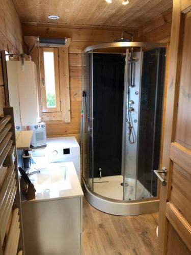 une salle de bain avec douche et lavabo dans l'établissement Le Cottage de l etang, à Bourbourg