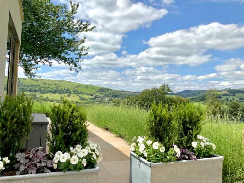 a walkway with two large pots of flowers at The View, Luxury studio in Curbar