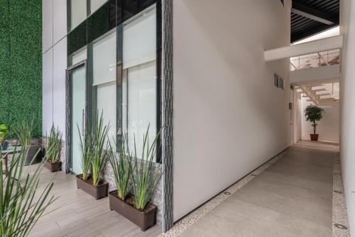 an office building with potted plants in a hallway at Quiet Stylish Studio, Smart Tv, Six Flags 1k in Mexico City