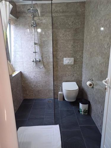 a bathroom with a shower and a toilet in it at The White House in Divjakë
