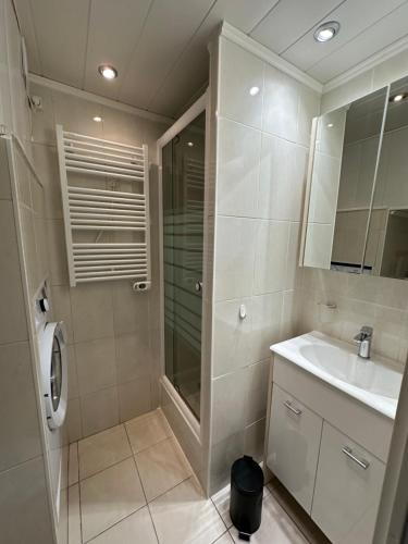 une salle de bain avec douche et lavabo dans l'établissement Studio l Arbanais, à Hyères