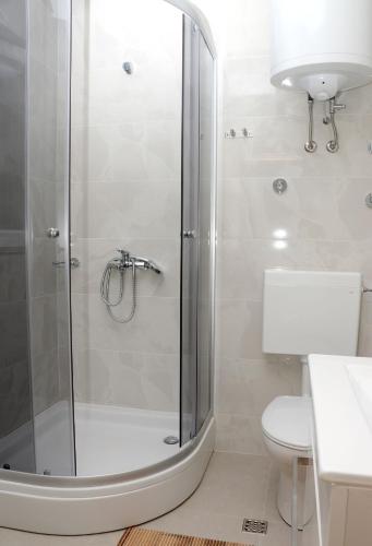 a bathroom with a shower and a toilet at Apartmani Mary S2 in Kukljica