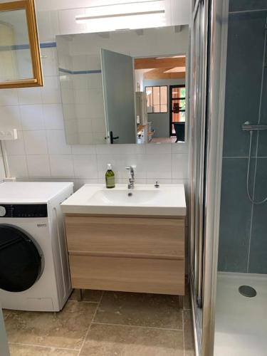 une salle de bain avec un lavabo et une machine à laver dans l'établissement Maison du vallon de Galeye, à La Roque-sur-Pernes
