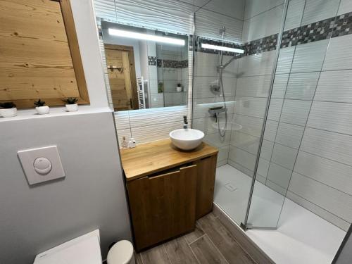 une salle de bain avec un lavabo et une douche dans l'établissement Résidence L'albane - L'ALBANE - pied de pistes avec accès PISCINE - MAE-1331, à Vars