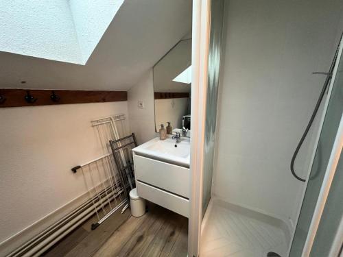 une salle de bain avec un lavabo et une douche dans l'établissement Résidence Le Bouquetin Ii - LE BOUQUETIN II MAE-9961, à Vars
