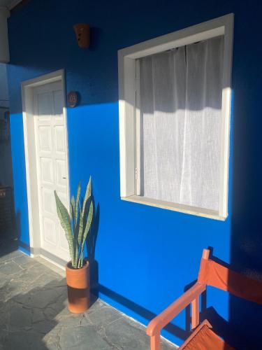 a blue room with a window and a potted plant at Vilare Pousada in Morro de São Paulo