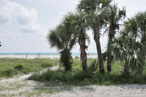 a group of palm trees on a beach at Rejuvenation by Pristine Properties Vacation Rentals in Saint Joe Beach