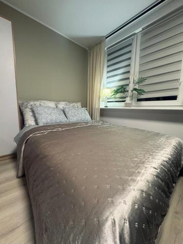 a bedroom with a large bed and two windows at Marzecz HOME Lębork Centrum in Lębork
