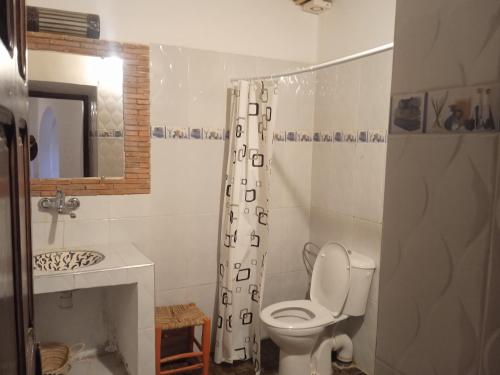 a bathroom with a toilet and a shower curtain at Dar Es Salam in Skoura
