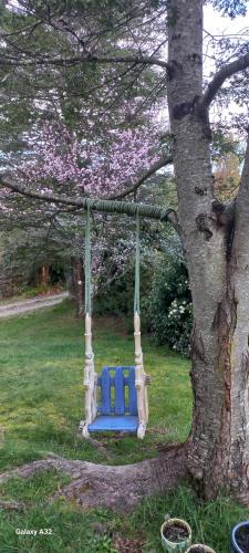 a swing hanging from a tree in a yard at CABAÑAS ISITEPUAL 5 min aeropuerto y 10 min del centro in Puerto Montt