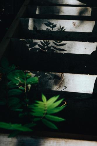 サクレ・クール・サグネにあるCanopée Litのギャラリーの写真