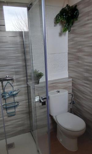 a bathroom with a toilet and a glass shower at La kuruxa apartamento in Arronte