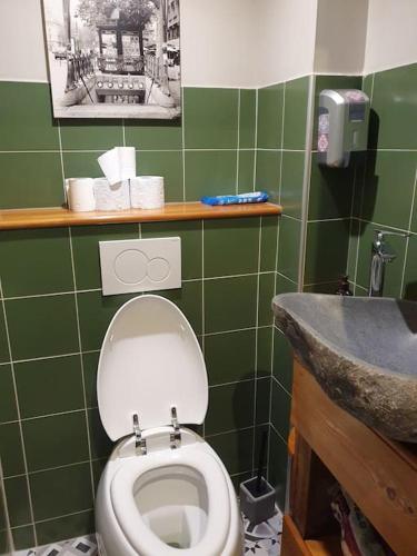 une salle de bain verte avec des toilettes et un lavabo dans l'établissement Jeanne, à La Roche-sur-Foron