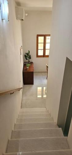 a hallway with a staircase with a potted plant at 3 Floors Villa on Promenade 4 bedrooms 3 bathrooms V1 in Sliema