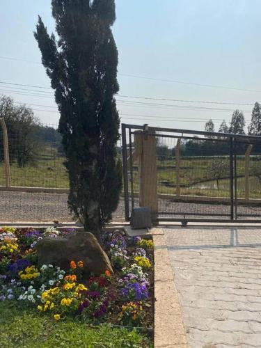 a garden of flowers in front of a fence at Sítio das Flores - 4 quartos - 8 a 10 pessoas in Garibaldi