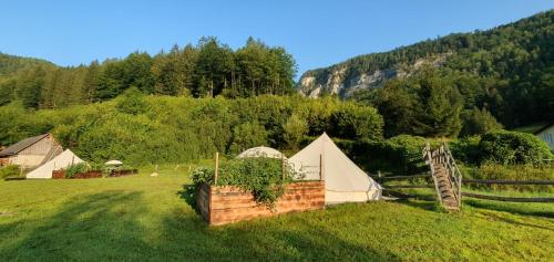 Příroda nedaleko luxury tent