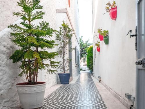 Billede fra billedgalleriet på Vintage Alacati i Alacati