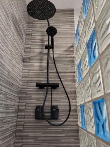 a shower in a bathroom with a shower head at Apartamento La Avenida in Lanjarón