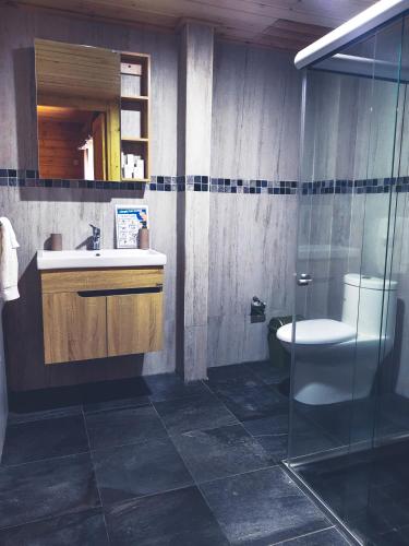 a bathroom with a sink and a toilet and a shower at Cabañas Santa Barbara in Mazamitla