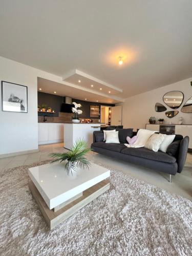 un salon avec un canapé et une table dans l'établissement Appartement Montpellier, à Montpellier