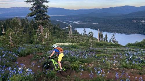a person riding a bike on a hill with flowers at Donner Lake Inn in Truckee