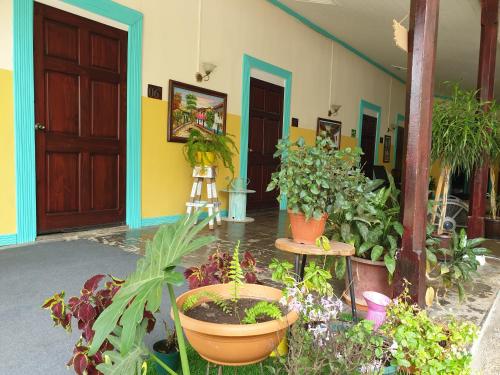 a bunch of plants in front of a building at Hotel Liberia in Liberia