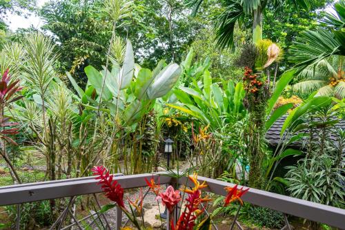 a garden with many different types of plants at Bukala Village Lodge in San Ramón